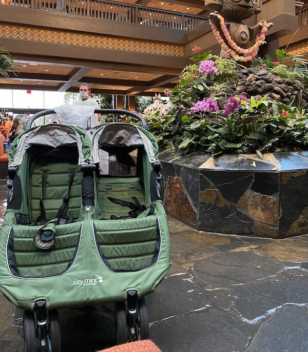The Best Double Stroller Options for Disney World